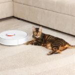 The Best Robot Vacuum for Thick Carpet of 2022 Best Robot Vacuum for Thick Carpet